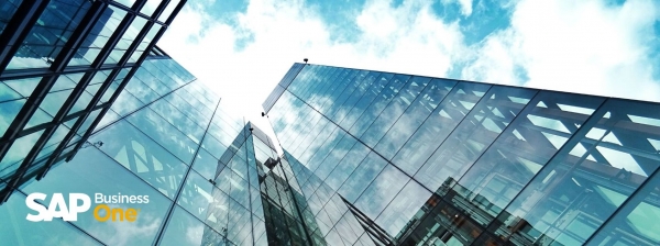 PERCH&Eacute; SAP BUSINESS ONE &Egrave; L&rsquo;ERP CHE PERMETTE ALLA TUA IMPRESA DI CRESCERE?