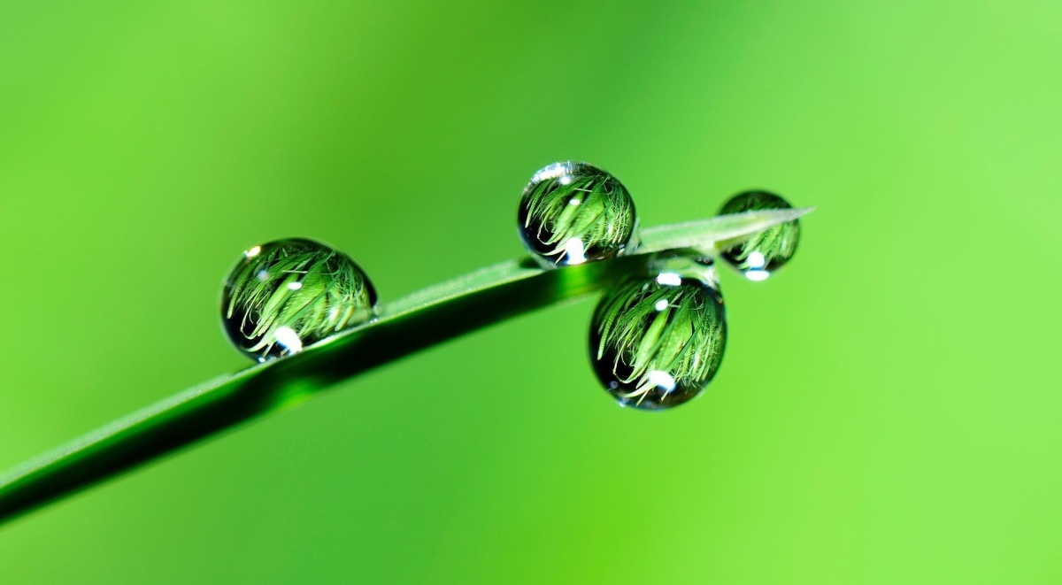 La svolta Green delle PMI italiane: come cogliere le opportunit&agrave; legate al Green Deal europeo